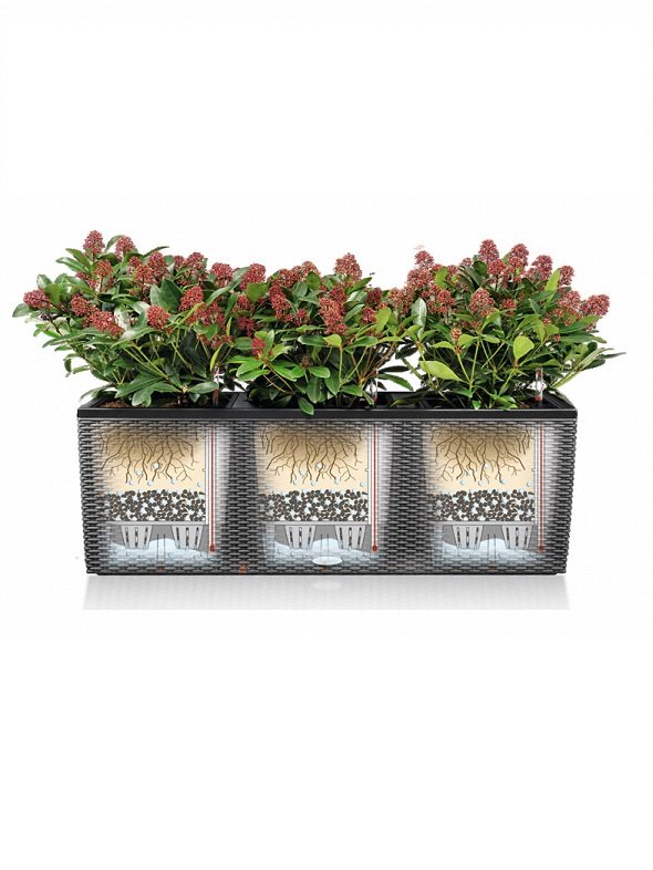 addi_trio_cottage_30_gra_fkt_large