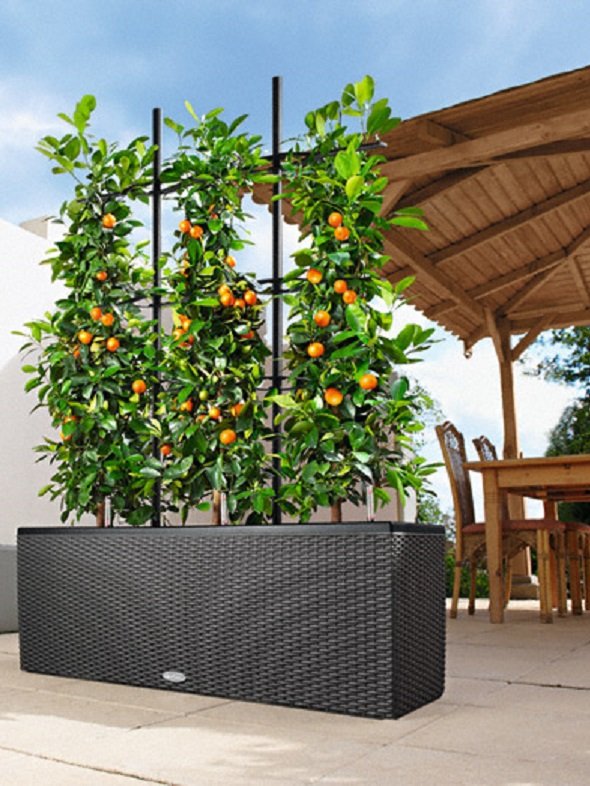 addi_trio_cottage_30_gra_orange_large