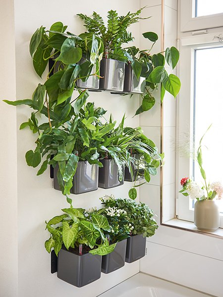 green-wall-1